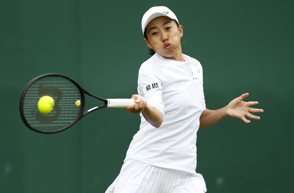 剑界的影响 剑界的影响